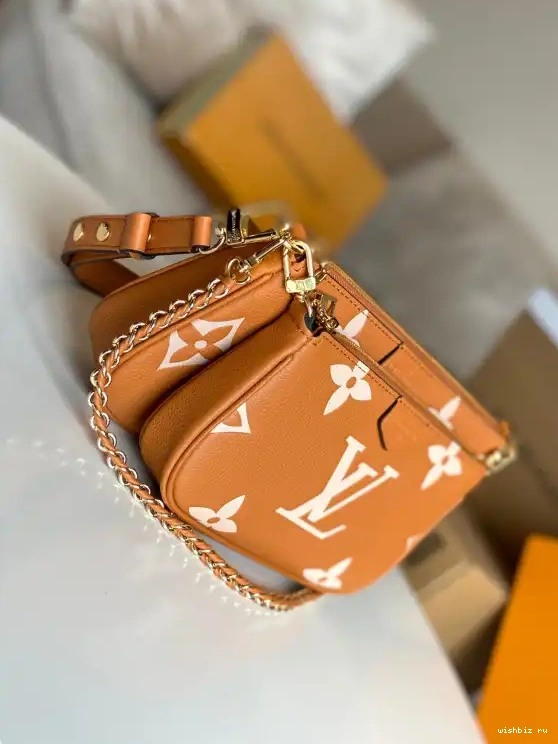 WIS POCHETTE MULTI ACCESSOIRES VUITTON LOUIS 0521